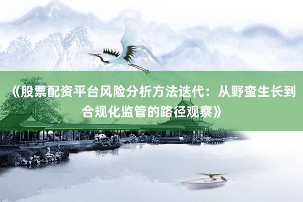 《股票配资平台风险分析方法迭代：从野蛮生长到合规化监管的路径观察》